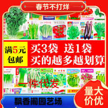 һ�����l�߲˷N�Ѵ�ȫ���N�˷N���ļ��Ϸ��̨�Nֲ��˲�ݮ����С