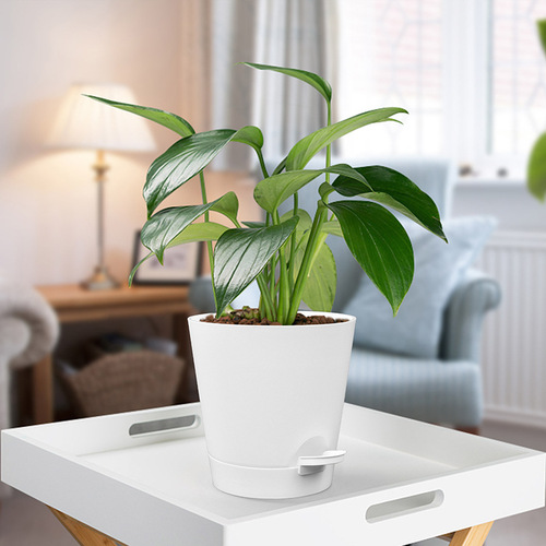 Amazon self-watering flower pot desktop bonsai green plant plastic round flower pot lazy automatic water-absorbing flower pot