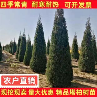 ���ؘ����ɘ���ؘ���~�ؘ���Ȱؘ������ؘ����ɰؘ����ļ�����