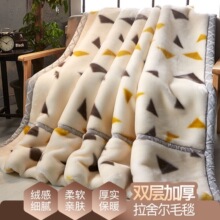 毛毯被子拉舍尔双面毛绒毯加厚盖毯空调毯冬天毯子玫瑰花毯子