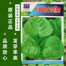 ׈A~{˷N߲͟˷N ﲥN ׷N߲˷N