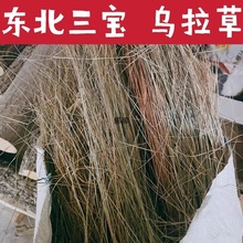 �|�������� �|������ Ұ�������� �����ݸɲ�50-1000��һ�����l