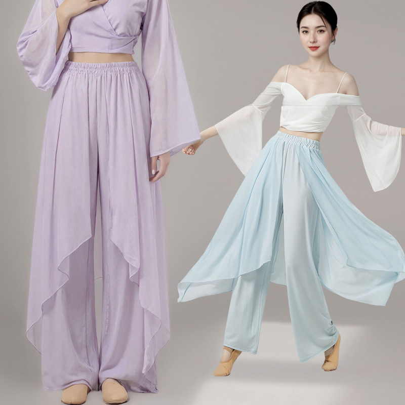 Classical Dance Practice Clothes for Women, Elegant Wide-Leg Pants, Adult Modern Dance Clothes, Mesh Practice Pants, Asymmetrical Skirt Pants