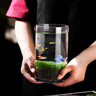 ���B�~��ˮ�N�Ӿӄ����쾰ˮ���沣��ƿˮ���Gֲ�羳���uͨ����