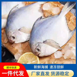 �y�K�~���r��������K�~�ك����K�~ƽ���~���~���ú��rˮ�a���l