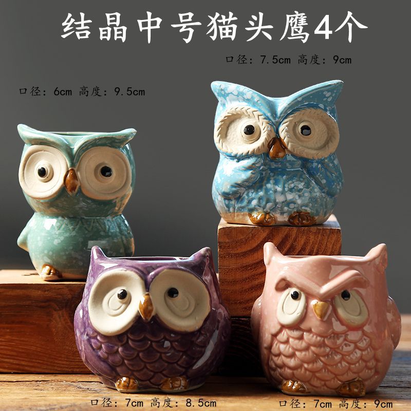 结晶中号猫头鹰4个