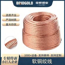 软铜绞线TJR裸铜绞线裸铜线防雷接地架空导电镀锡紫铜铜辫子国标