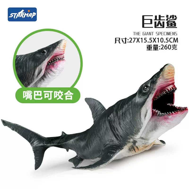 仿真认知鲨鱼海洋生物模型大白鲨巨齿鲨空心动物儿童摆件玩具批发