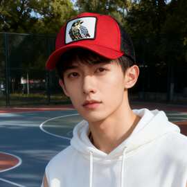 现货爆款动物刺绣棒球帽大帽檐棉制网帽防晒大头围街舞嘻哈鸭舌帽