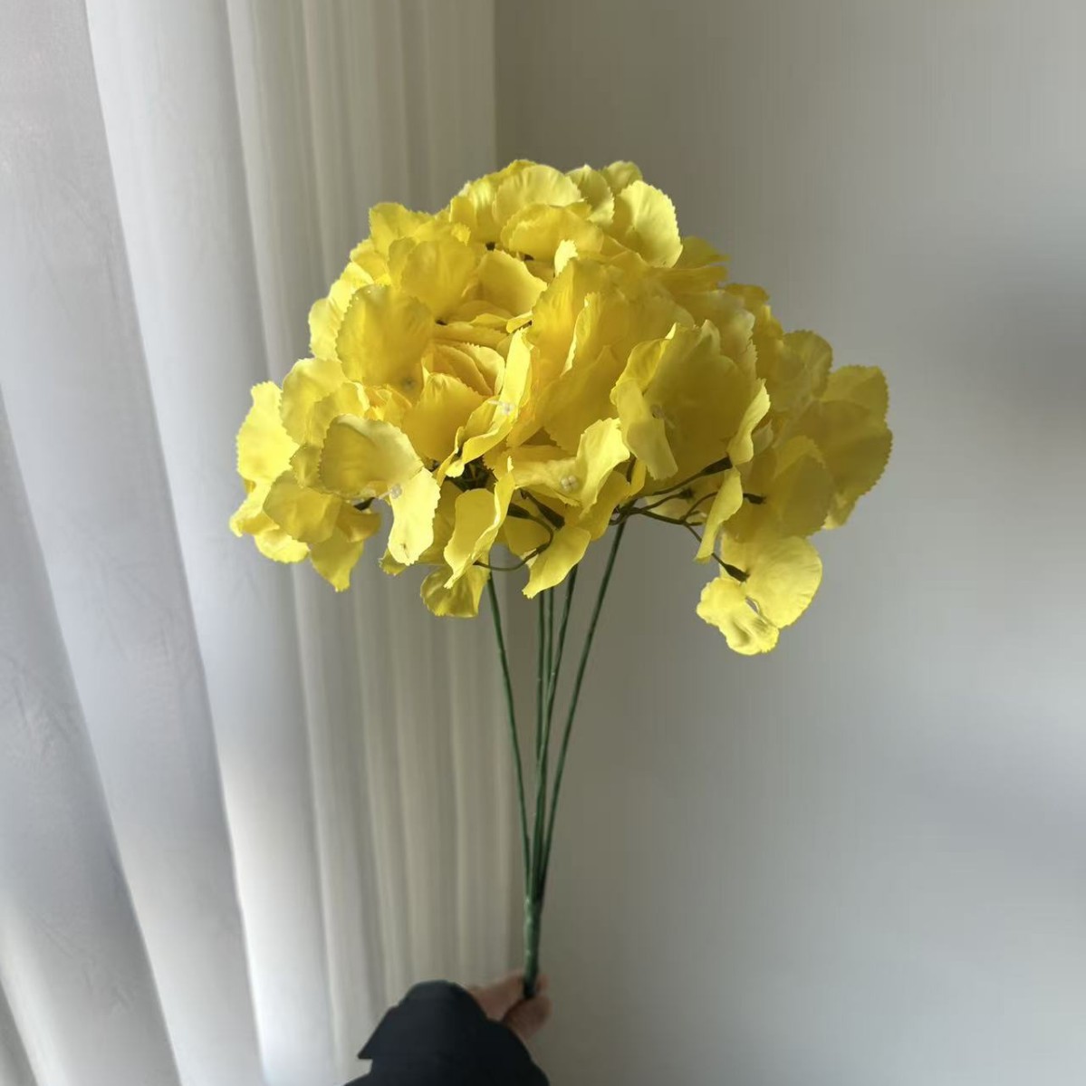 5개의 머리가 있는 수국