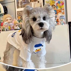 夏の薄いペットの服の博美のシェリーの猫の小型の子犬のテディは熊の貴賓の犬の服より通気性があります。