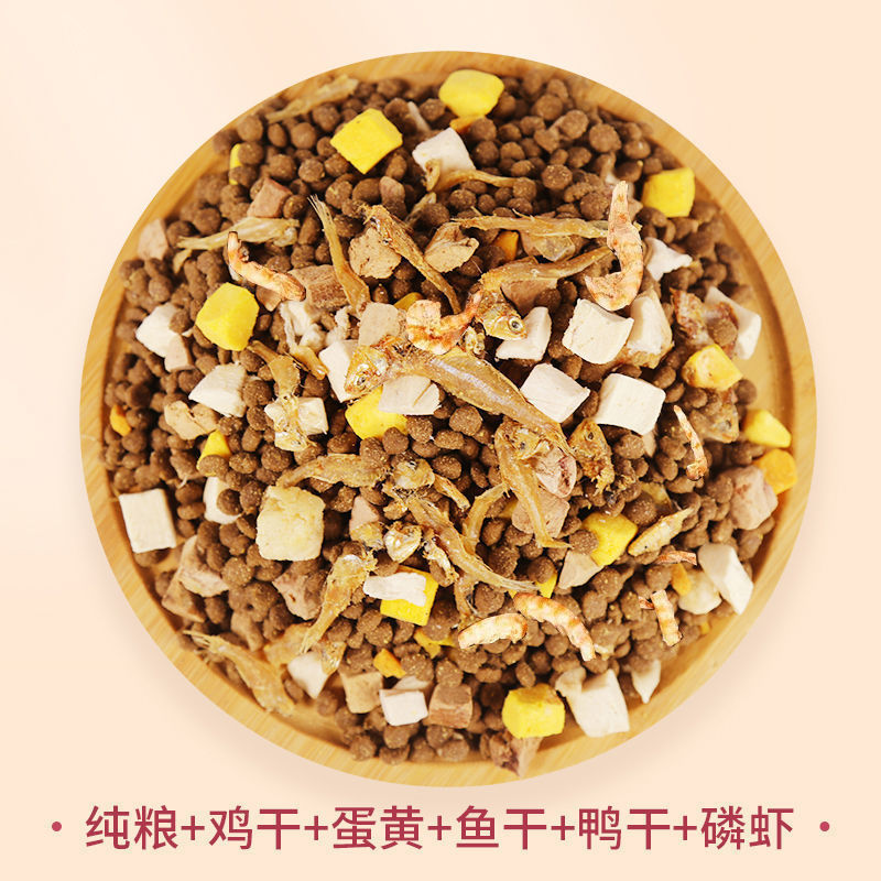 인기 동결건조 고양이사료 6종 [동결건조 5종 조합]