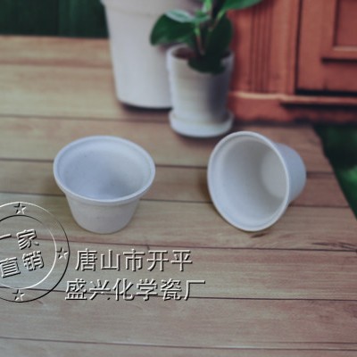 上海欧锐量热仪用瓷坩埚 发热量坩埚