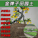 金弹子纯正田园土黑土黄土种树花土壤通用沙土种菜土有机土种植土