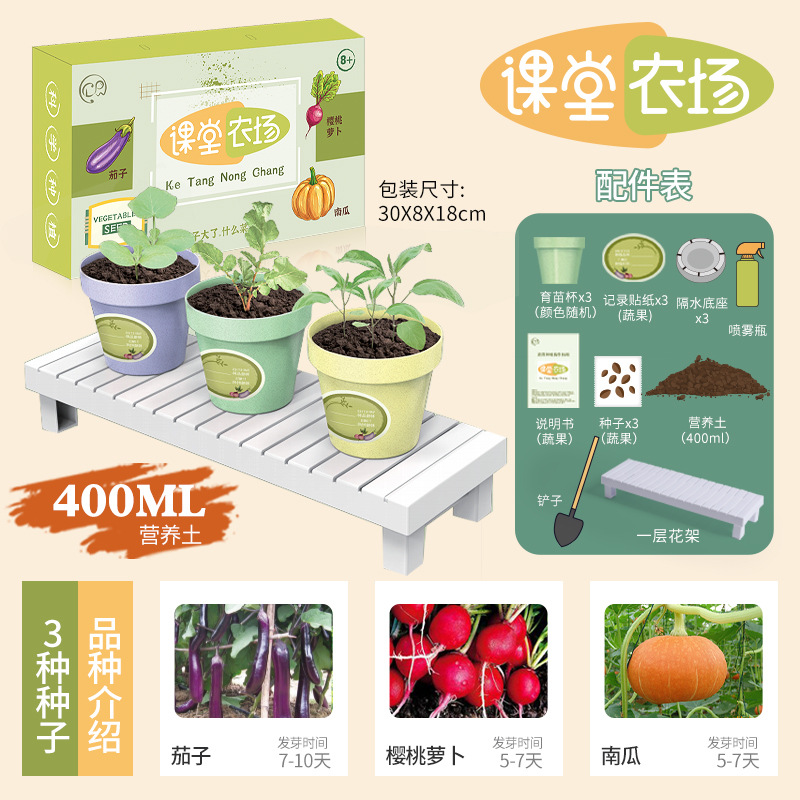 Planta de mesa para niños mini plantas verdes creativas pequeñas plantas de fresa girasol al por mayor