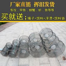 甲鱼地网笼乌龟笼虾笼花篮捕鱼笼螃蟹笼鳖笼渔网弹簧笼黑鱼笼捕鱼