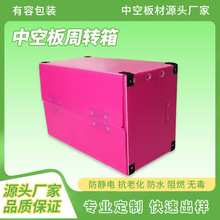 PP中空板工业周转箱加厚防静电隔板物流包装箱收纳整理瓦楞板箱
