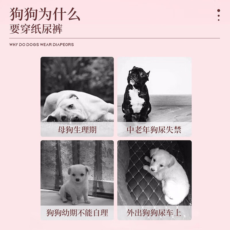 Perro fisiológico pantalones pañal hembra perro pañales especiales hembra perro servilleta sanitaria mascota tía toalla pull-up Pantalones