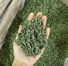 新货薄荷茶散装薄荷茶颗粒500克烘干薄荷叶花草茶厂家直供