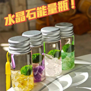 Seaweed Ball Ecological Bottle Crystal Micro Landscape Desktop Decoration DIY Planting Portable Mini Finger Pet