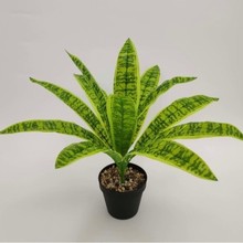 �羳���N�Gֲ��Ƥ�m���ָ��~�͏d�҃������b�Ʒ�쾰�[���߷���