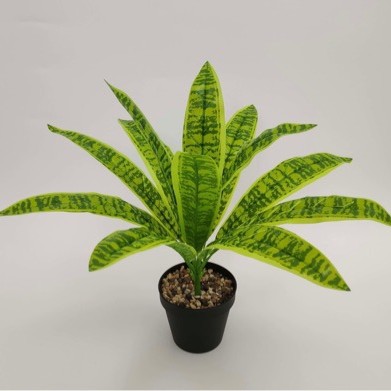 跨境热销绿植虎皮兰假手感叶客厅室内盆栽装饰品造景摆件高仿真