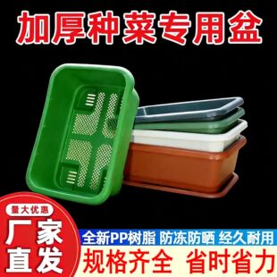 ���x��Ʒ�̨�N�������С�[�����������߲˷Nֲ���L���ηNֲ��