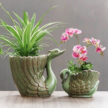 �G�����Z���ﻨ���մɴ��պ����m����С�m������͸������Ϙ�����