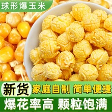 球形爆米花玉米粒100g5斤球型爆米花专用干苞米家庭微波炉自己爆