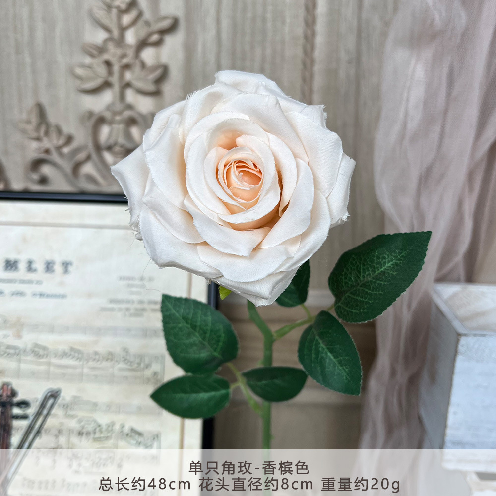 TY-单只角玫--香槟