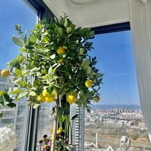 ̨͏dͥԺ͏d⎧҃ˮʘϘ_YGֲ