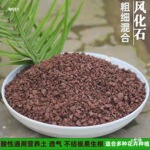 盆景风化石土风颗粒金弹扦插酸性土沙土营养土盆景水晶泥其他
