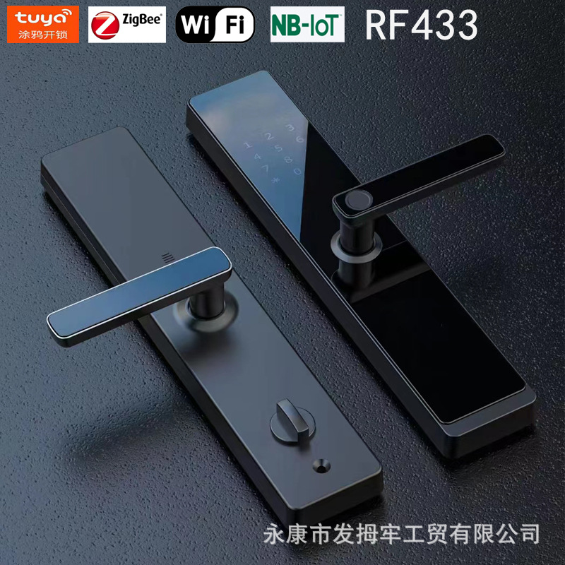 Cerradura de paso de bloqueo de huella dactilar TTLOCK graffiti Tarjeta de bloqueo inteligente deslizar cerradura de hotel B & B cerradura hogar cerradura de contraseña de un agarre