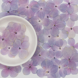 Primary Color Natural Light Blue Pink Purple Hydrangea Table Lamp Accessories Nail Art Face Decal Children's Handmade Photo Frame Sticker Bookmark
