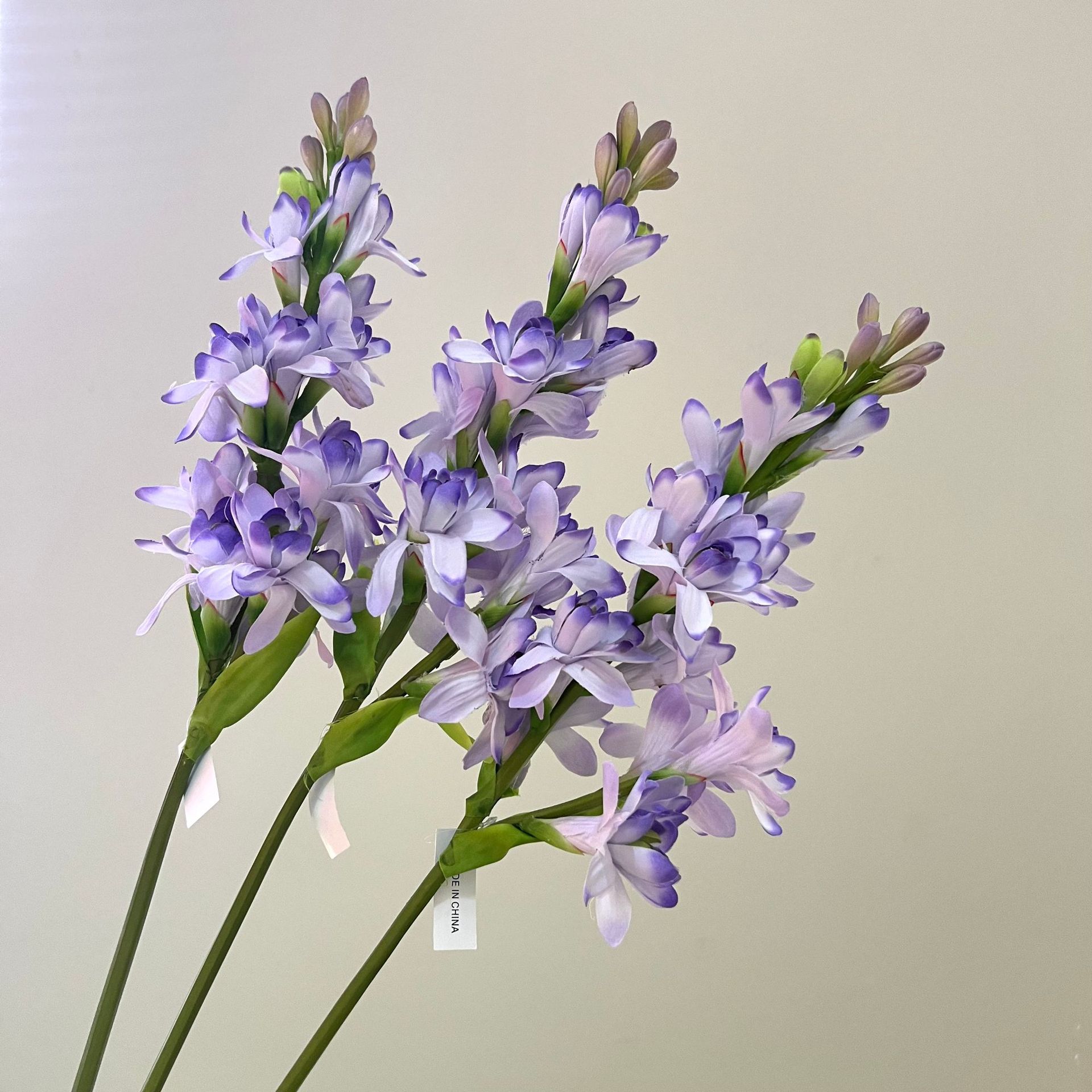 WeChat picture_20240613163349.jpg