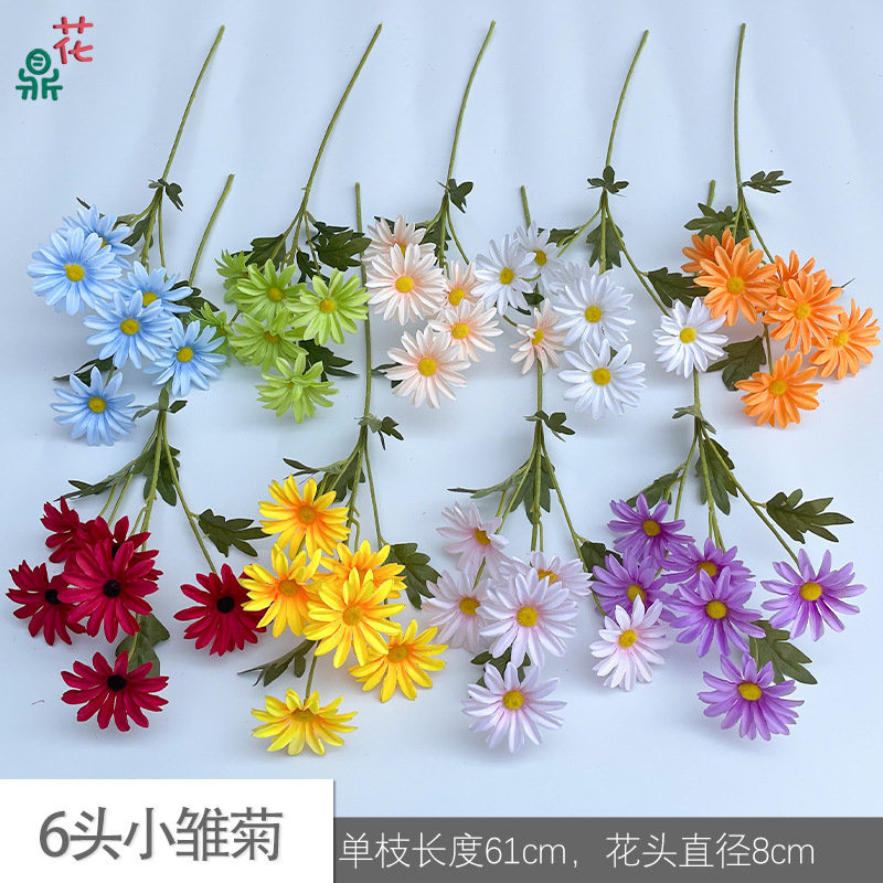 6 small daisy single branches