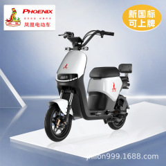 鳳凰星途新国標電動自転車二輪歩行車男女助力電気自動車メーカークロスボーダー卸売り