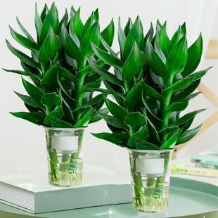 ˮ��ֲ���^�����F�񎧸��Gֲ���ܾG�}�҃������D�\����ˮ�B���B