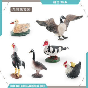 �羳����ĸ�����uĸ�u��С�u���ô��Z�r�������u���Z����ģ�͔[��
