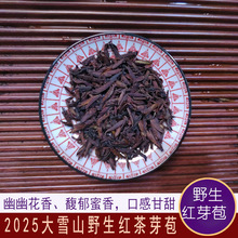 批发 2025早春 大雪山野生芽苞红茶 浓香野韵 紫芽功夫红芽苞