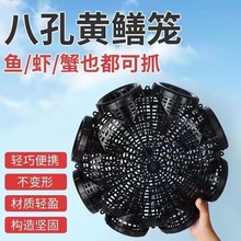 厂家批发六孔八孔塑料黄鳝笼捕鳝神器鳝鱼笼小鱼龙虾泥鳅倒须口
