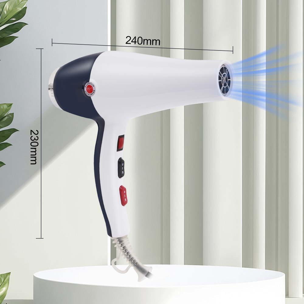 Winning Star Cross-border 220V estándar europeo estándar británico de secado rápido de alta potencia de dos velocidades con secador de pelo de energía eólica fría y caliente ligero