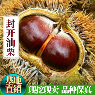 ����������� ��������_������ �޽����Ә����Ϸ������Nֲ������