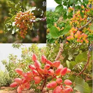 ������ľ �_�Ĺ����� �޽ӹ���Թ������ϱ����N����ֱ�N����Ʒ�N