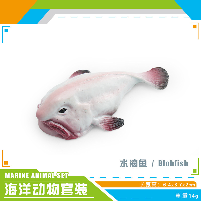 Transfronteriza simulación animal marino atún pargo real ganado puerto bajo salmón modelo adornos