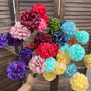 �¿�5�^���\����潑�����l��Y�û��Ų廨���޽�������Ĕz����