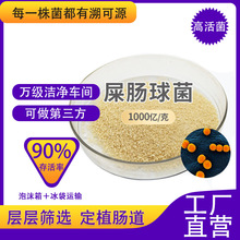 ʺc1000| ߻ɷ ϼԭ S