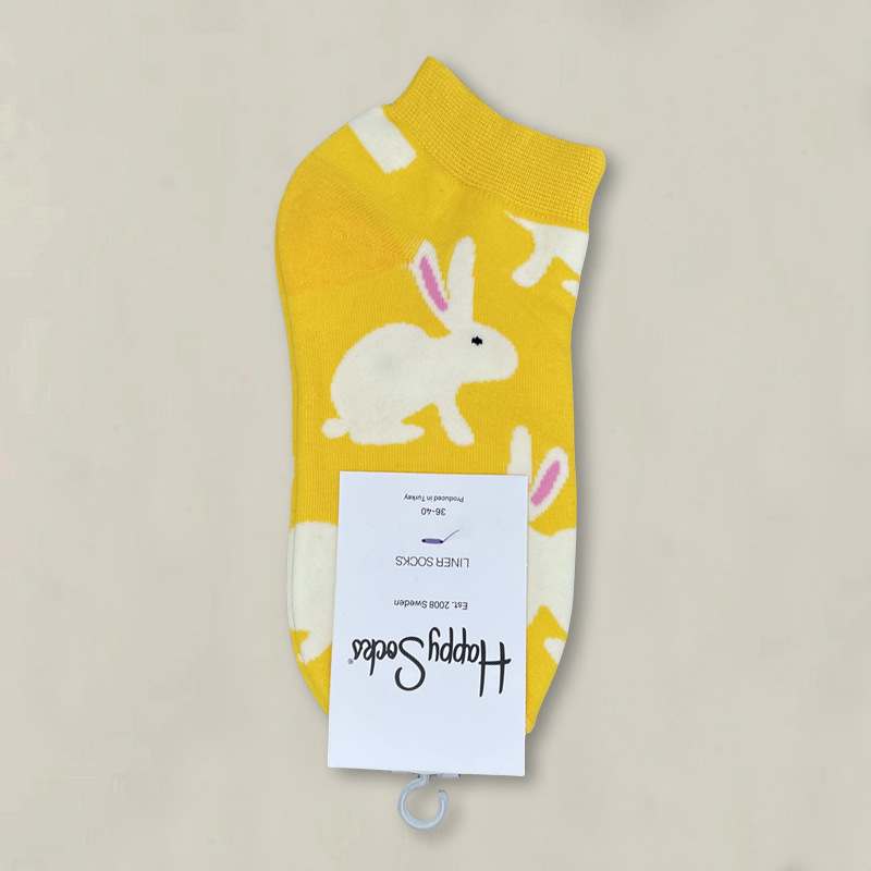 HappySocksハイスキンのショートソックスの漫画の浅い口の低い女性のスウェーデンのファッションのタイプのソックスの春夏のカラー