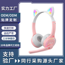�o���{����ͯ���C�^��ʽ�W�n�W���ɐ۰l��K��������S���l����