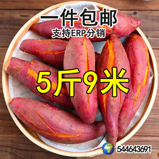 �_��ɳ�����żt��9��ܛŴ�����������r��ժ�����r���ԷN�F�ڿ���